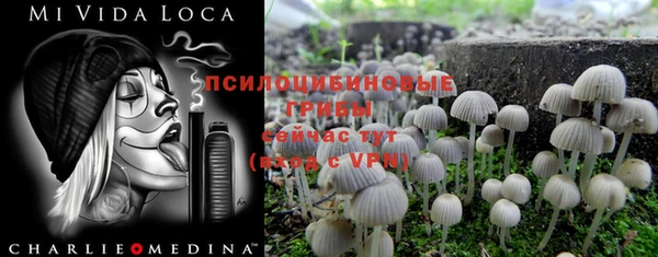 дурь Белоозёрский